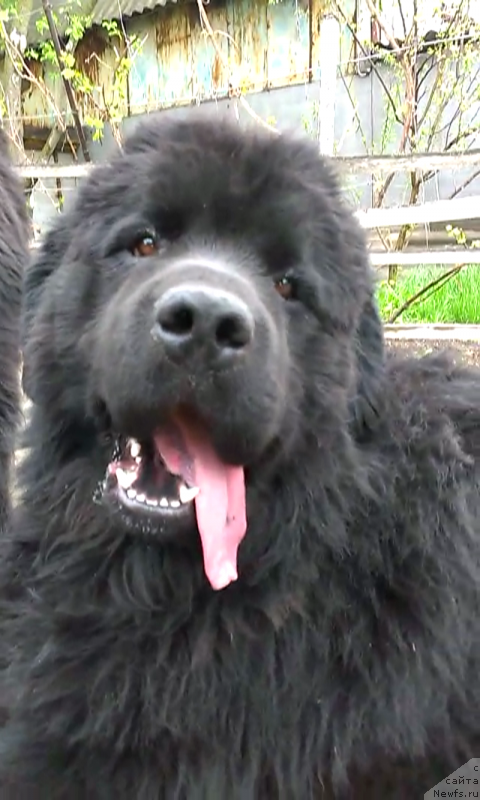 Фото: Мишаня