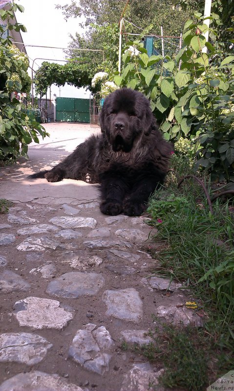 Фото: Мишаня