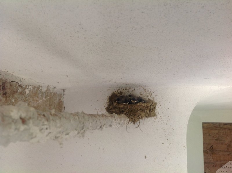 Фотография № 191785