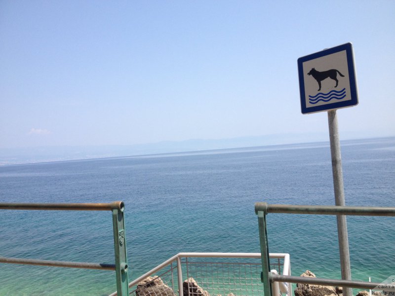 Фотография № 191786