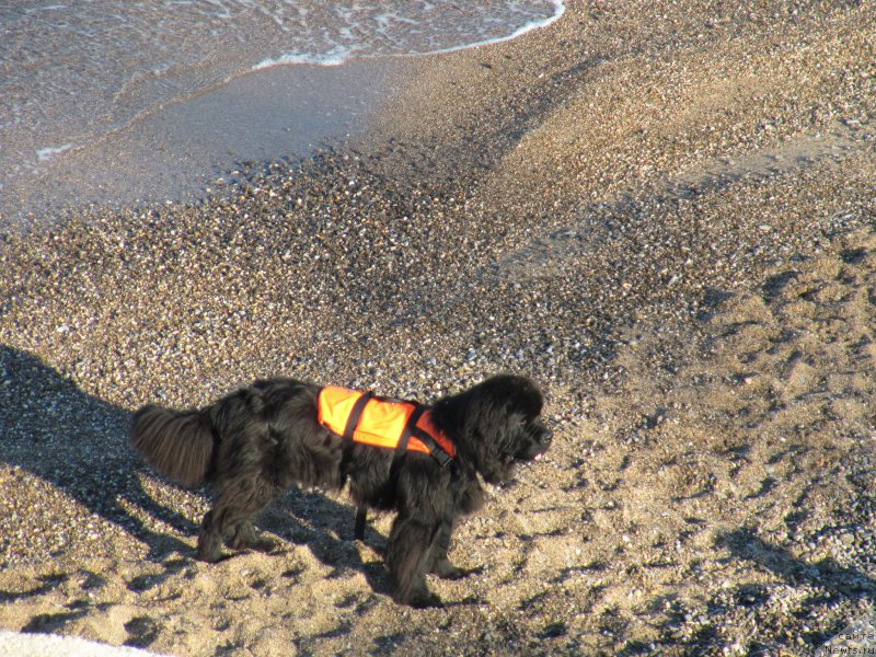 Фотография № 191812