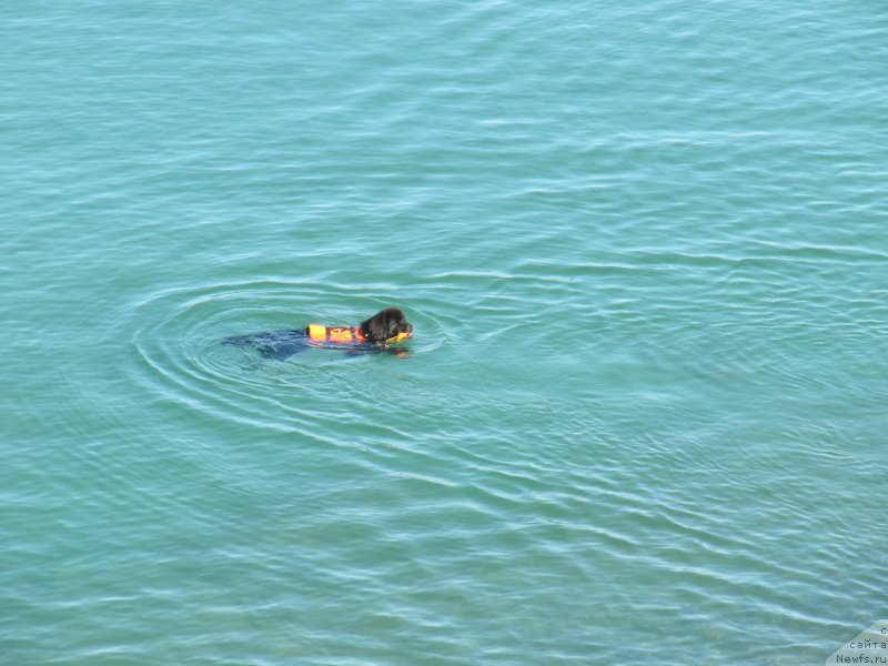 Фотография № 191813