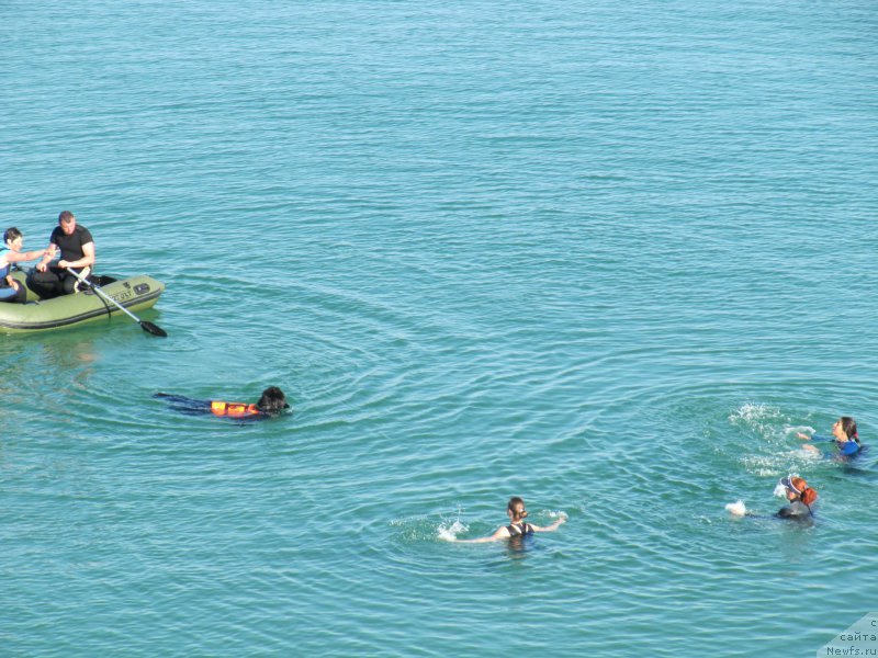 Фотография № 191814