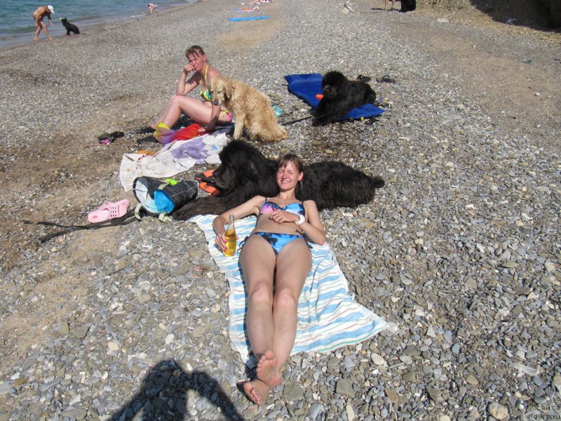 Фотография № 191823