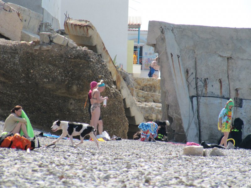 Фотография № 191825