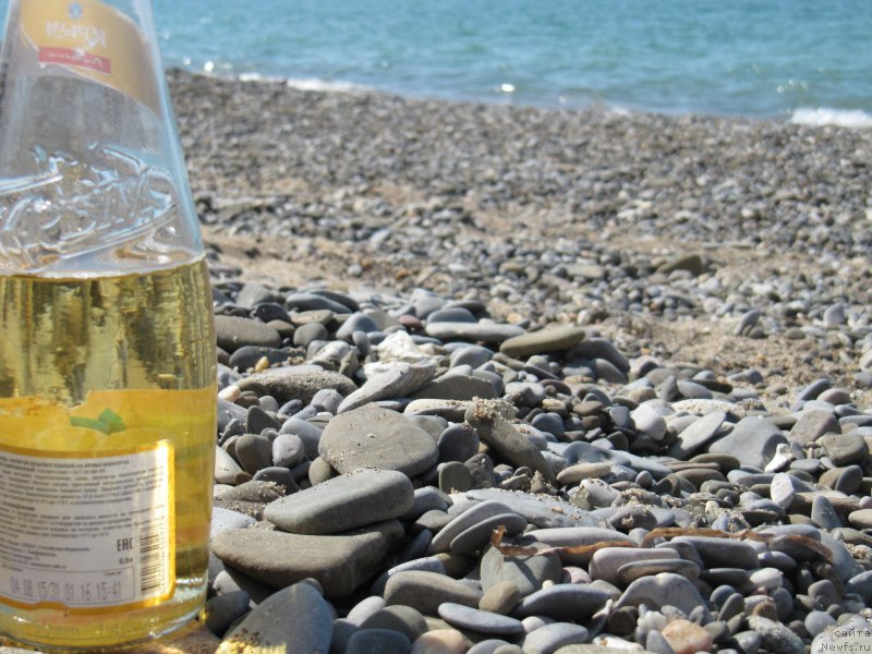 Фотография № 191827