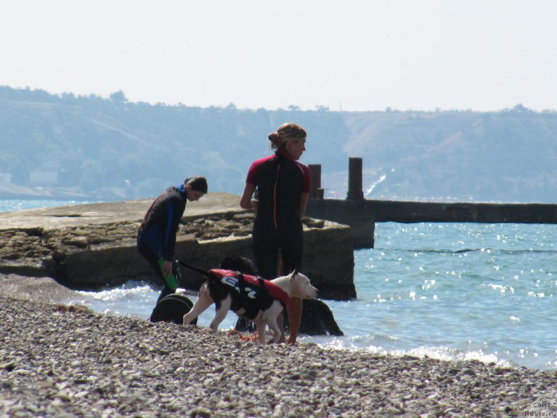 Фото: Татьяна Тетенок, Асти