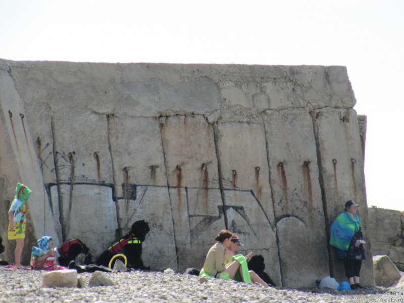 Фотография № 191841