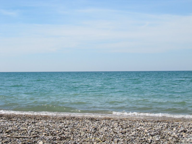 Фотография № 191842