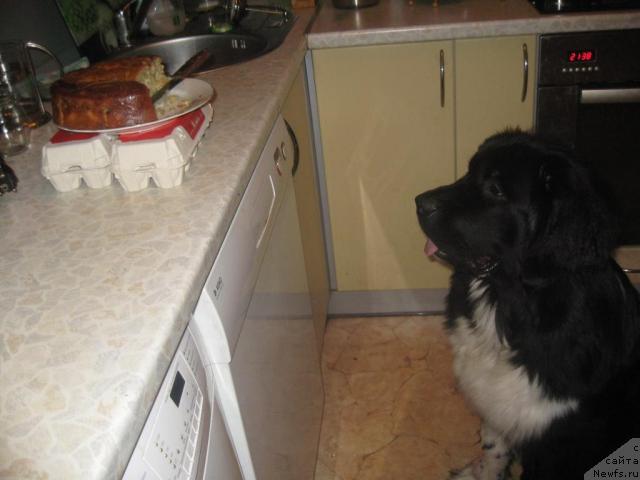 Фотография № 19185