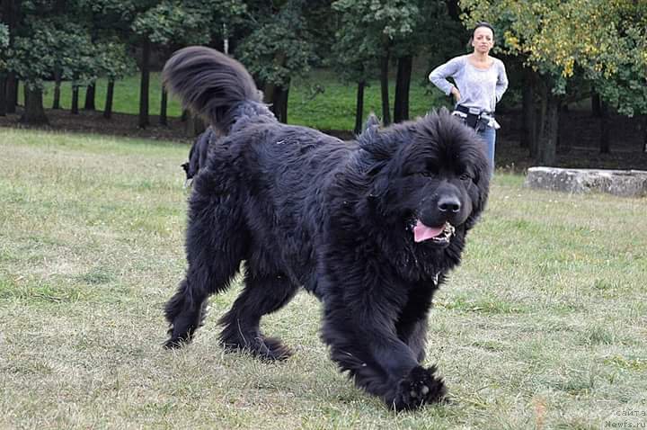 Фотография № 191865