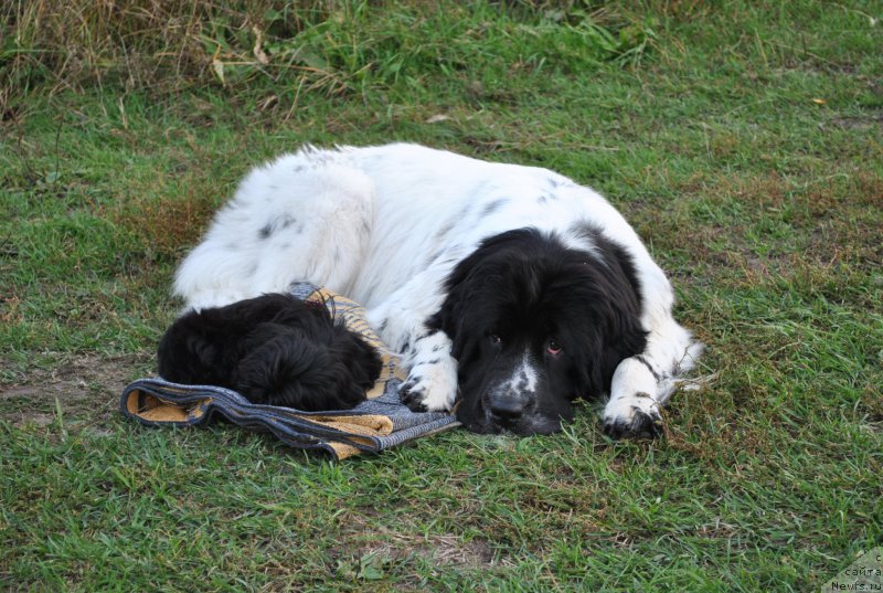 Фотография № 191876