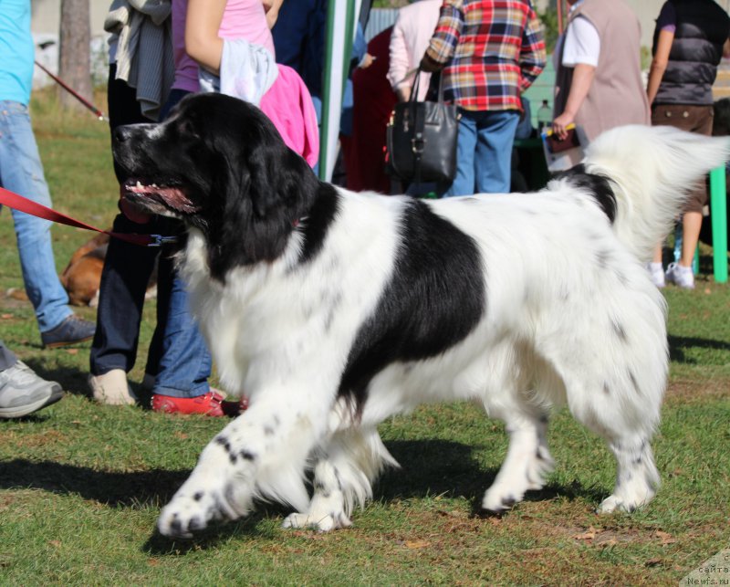 Фотография № 191877