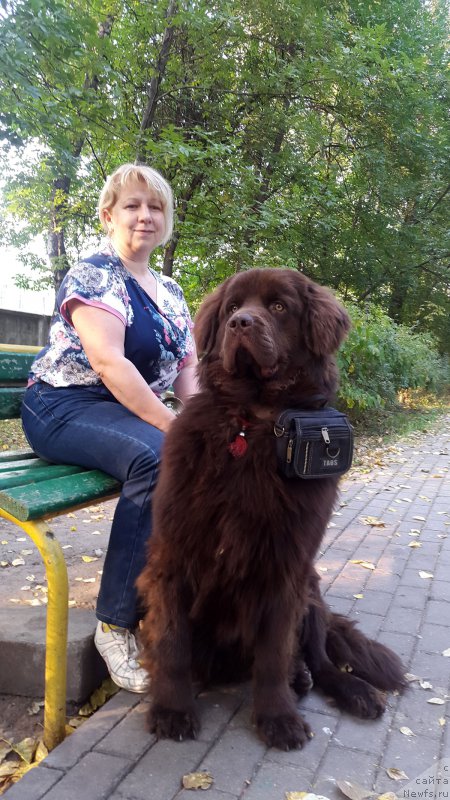 Фотография № 191879