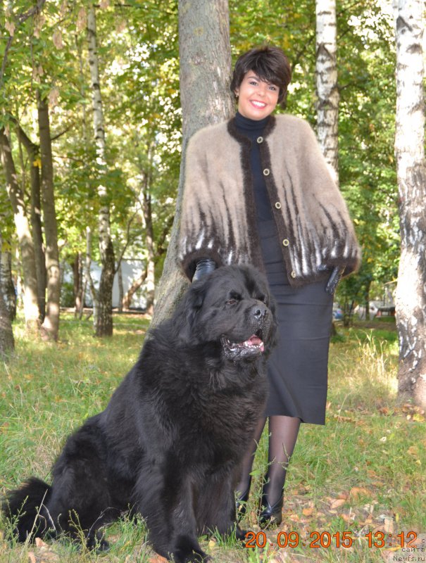 Фотография № 191892