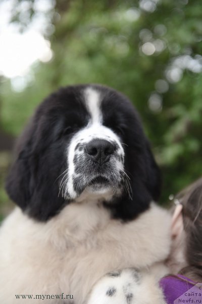 Фотография № 191902