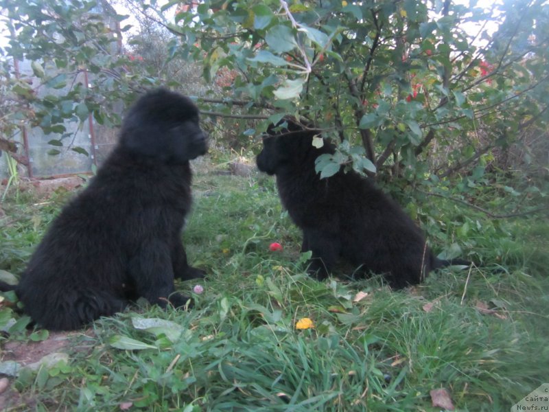 Фото: Наталья Смазчикова