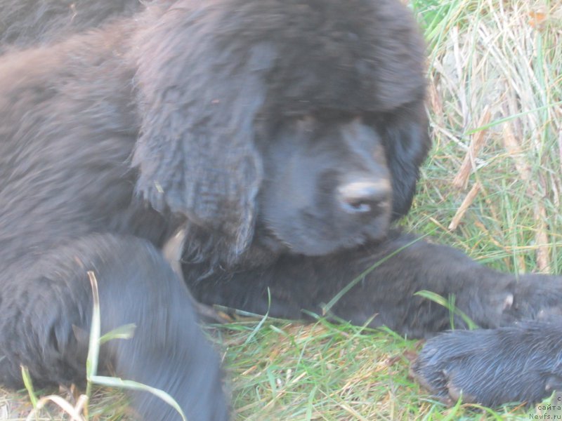 Фото: Наталья Смазчикова