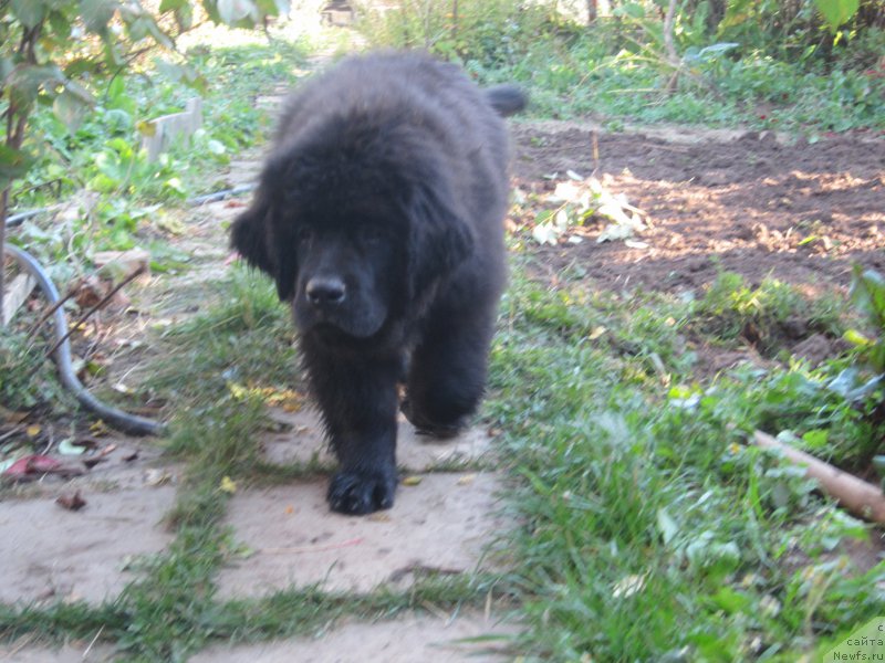 Фото: Наталья Смазчикова