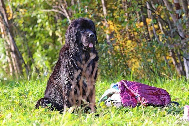 Фото: Анна Маршина