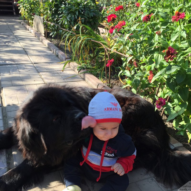 Фотография № 191956