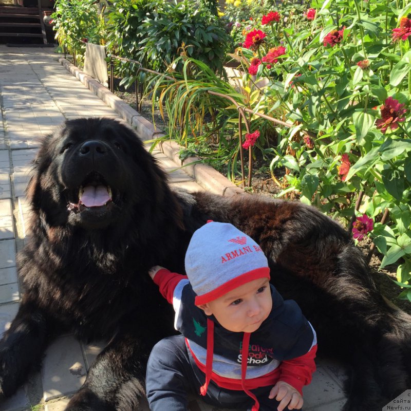 Фотография № 191957