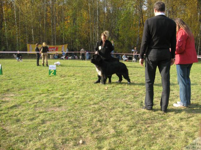 Фотография № 19198