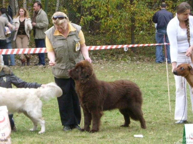 Фотография № 19200