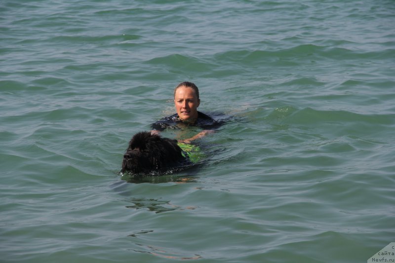 Фотография № 192005