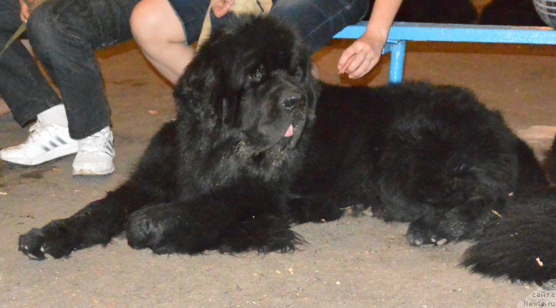 Фотография № 192007