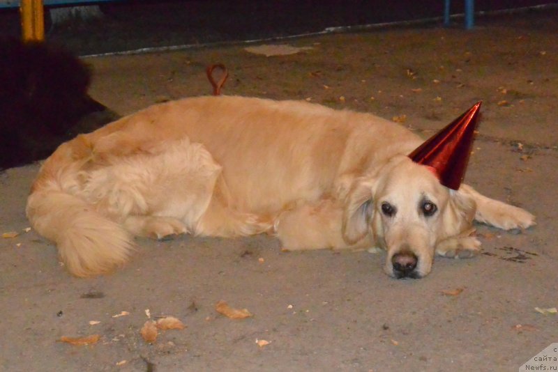 Фотография № 192009