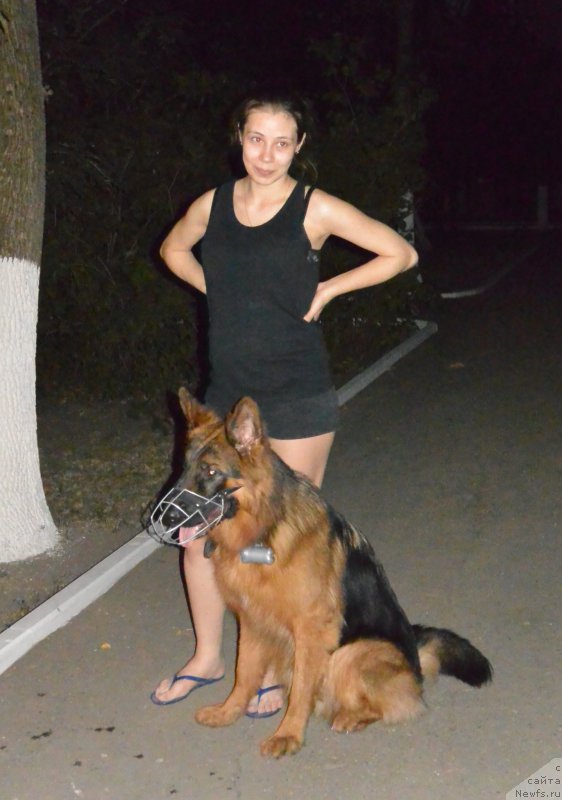 Фотография № 192010