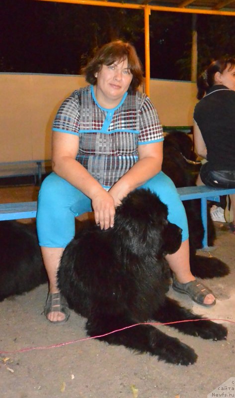 Фотография № 192011