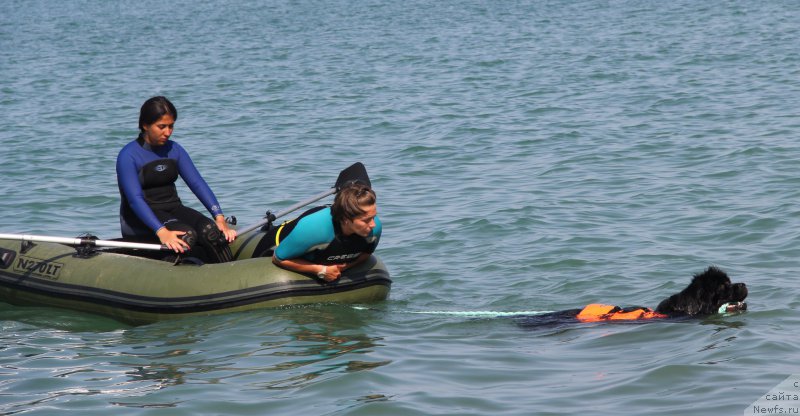 Фотография № 192026