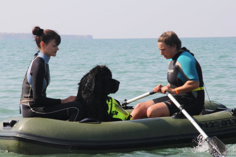 Фотография № 192031