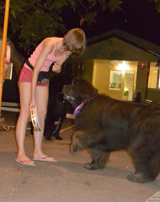 Фотография № 192033