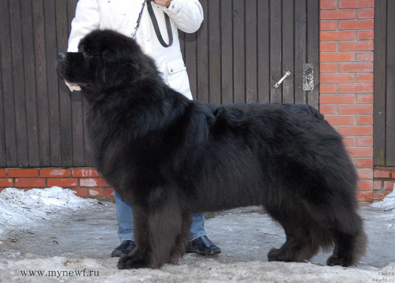 Фотография № 192038