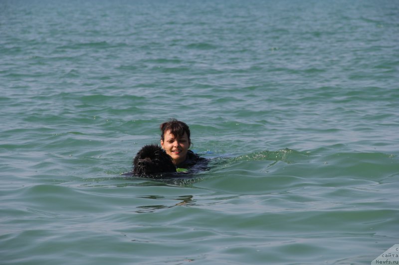 Фотография № 192054