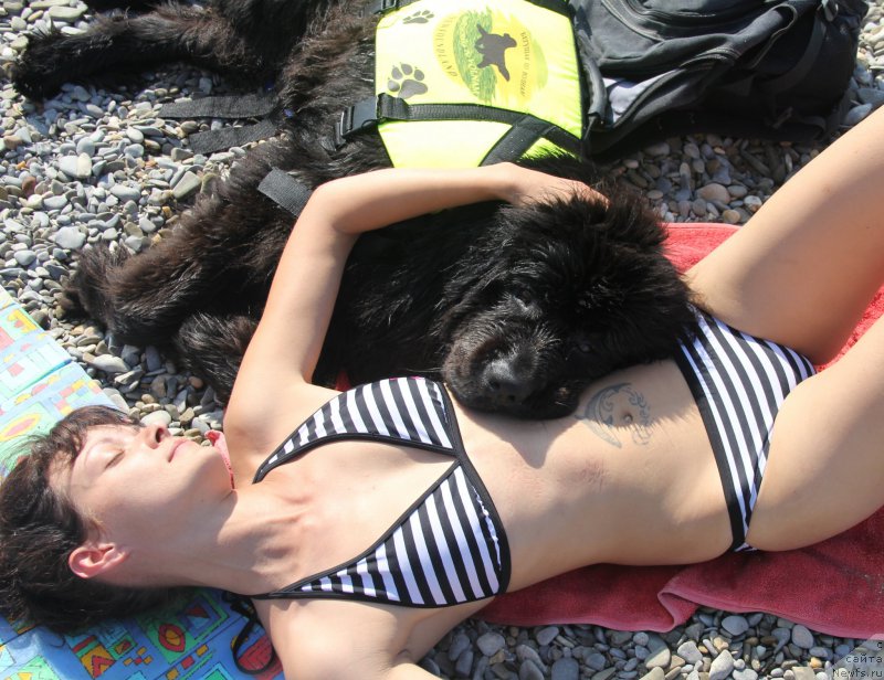 Фотография № 192056