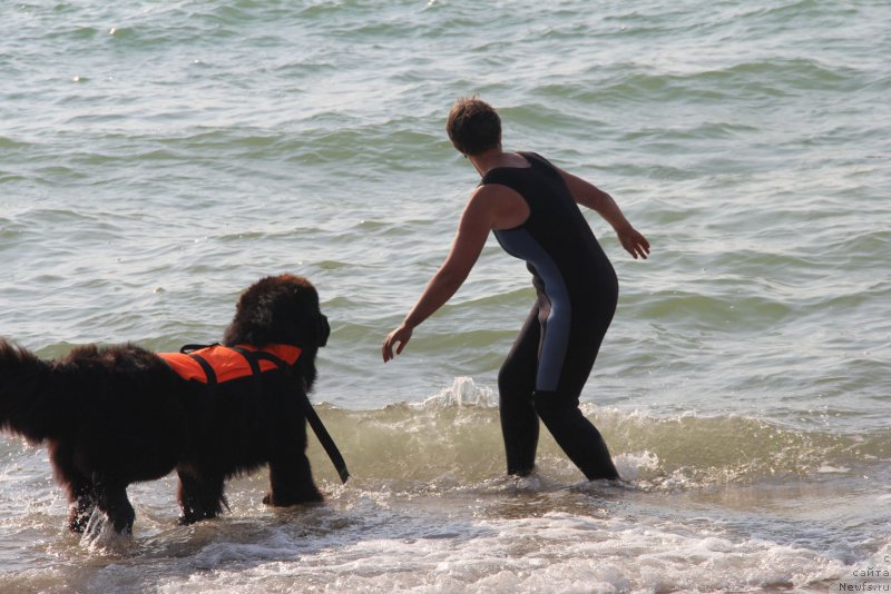 Фотография № 192059