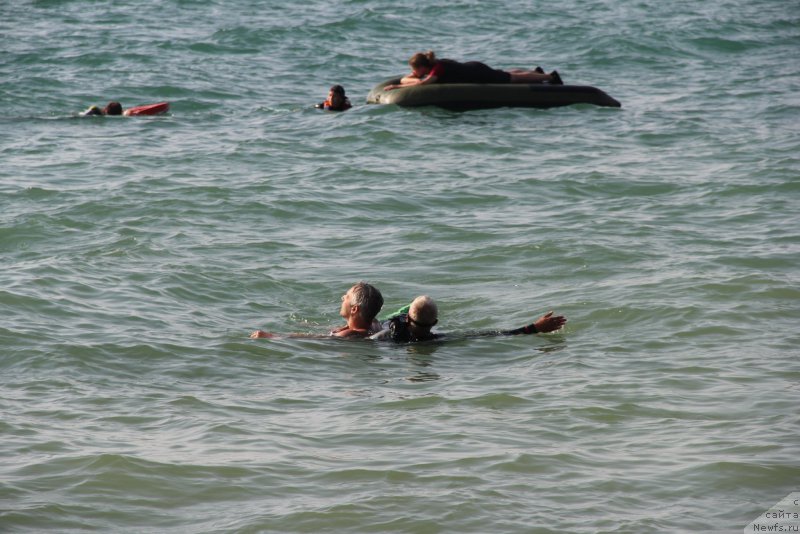 Фотография № 192061