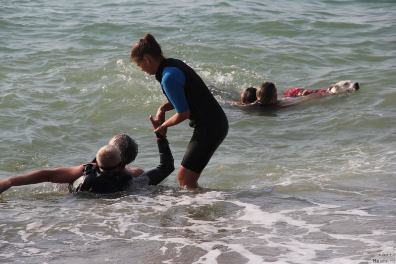 Фотография № 192062