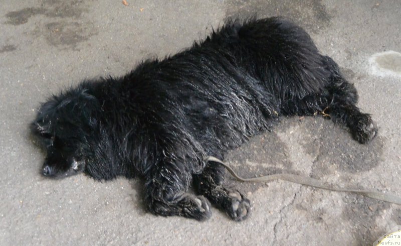 Фотография № 192082