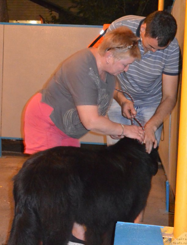 Фотография № 192093