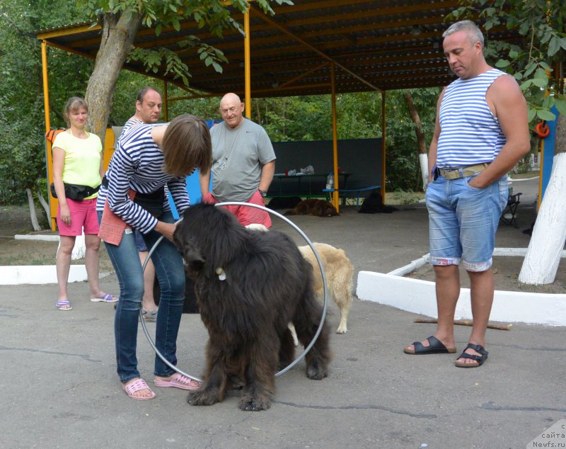 Фотография № 192107