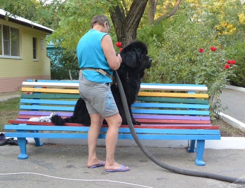 Фотография № 192108