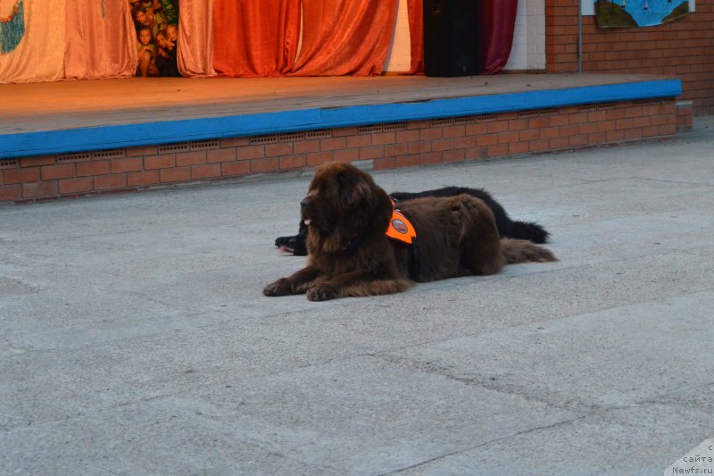 Фотография № 192122