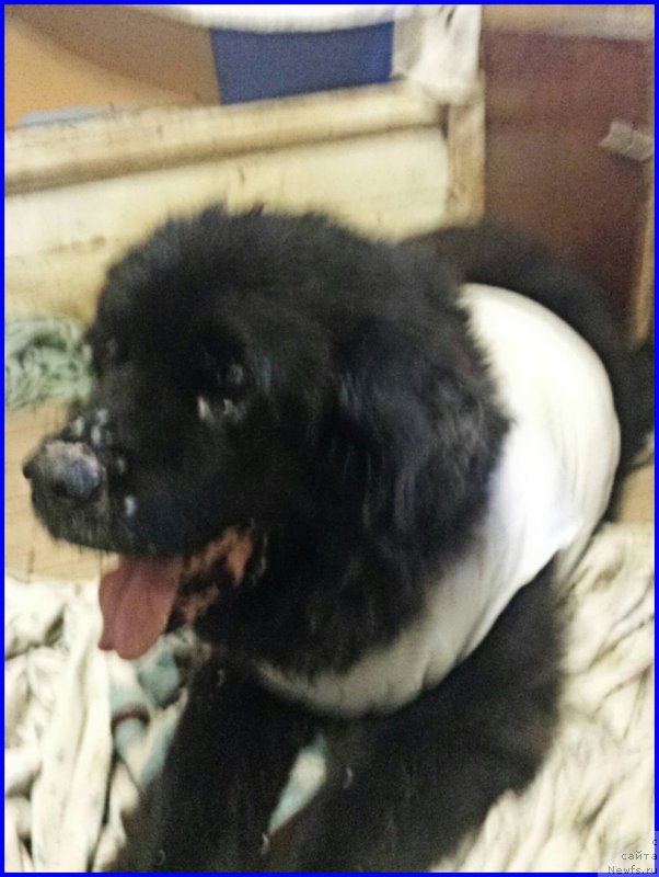 Фотография № 192140