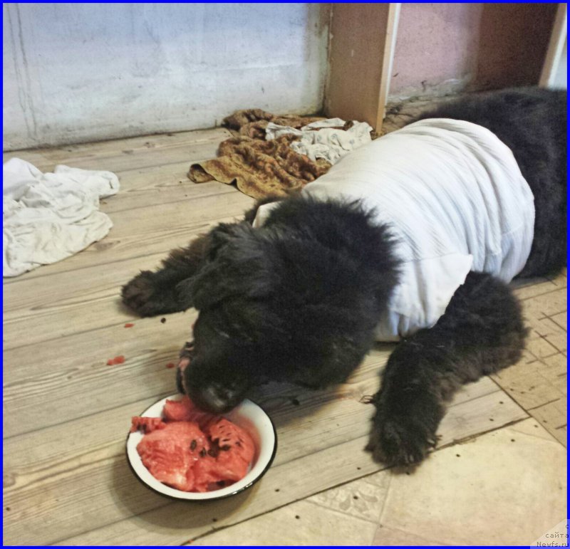 Фотография № 192142