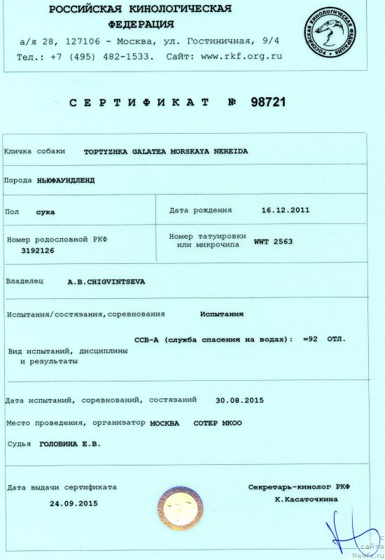 Фото: ньюфаундленд Топтыжка Галатея Морская Нереида (Toptyzhka Galatea Morskaya Nereida)